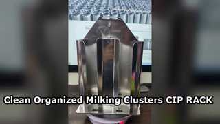 ডেইরি হাইজিন CIP RACK এর জন্য স্টেইনলেস স্টিল মিল্কিং ক্লাস্টার হোল্ডার