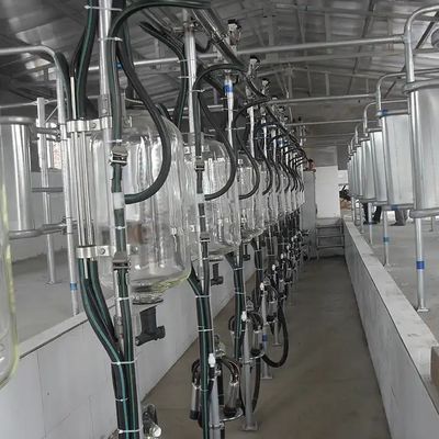 ভালো দাম দুগ্ধ খামার গরু ছাগল দুধ মিল্কিং পার্লার গ্লাস দুধ প্রবাহ মিটার De Laval অনলাইন